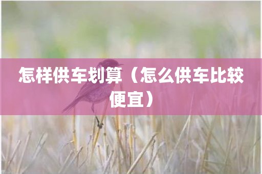怎样供车划算（怎么供车比较便宜）