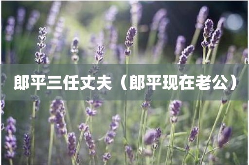 郎平三任丈夫（郎平现在老公）