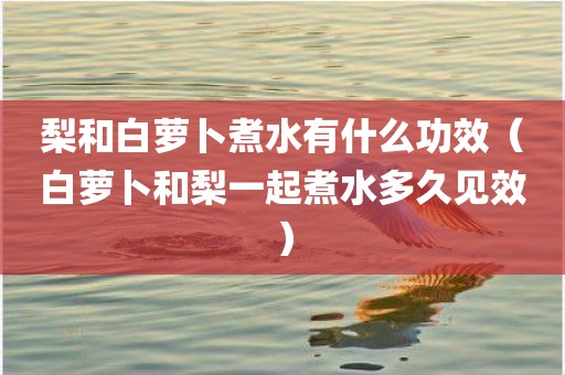 梨和白萝卜煮水有什么功效（白萝卜和梨一起煮水多久见效）
