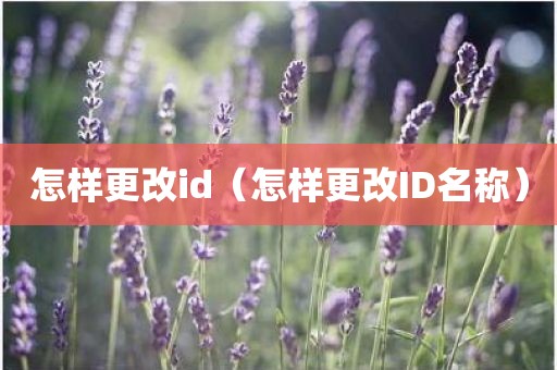 怎样更改id（怎样更改ID名称）