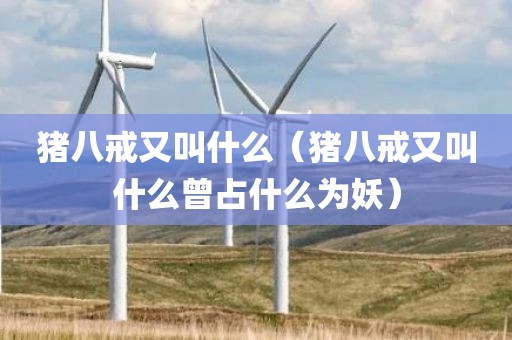 猪八戒又叫什么（猪八戒又叫什么曾占什么为妖）