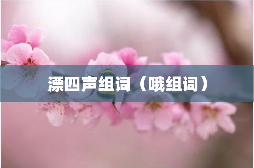 漂四声组词（哦组词）