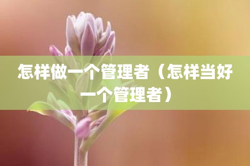 怎样做一个管理者（怎样当好一个管理者）