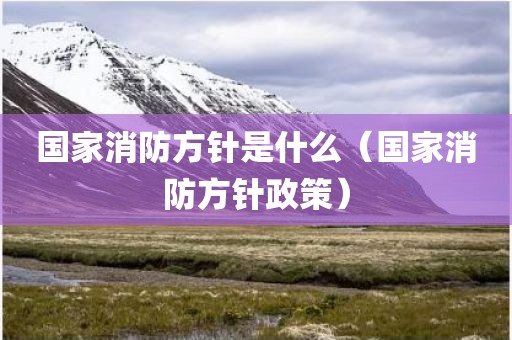 国家消防方针是什么（国家消防方针政策）