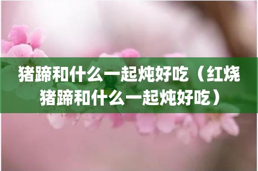 猪蹄和什么一起炖好吃（红烧猪蹄和什么一起炖好吃）