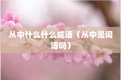从中什么什么成语（从中是词语吗）