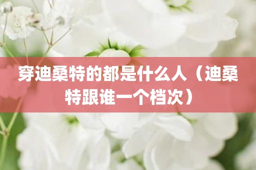 穿迪桑特的都是什么人（迪桑特跟谁一个档次）