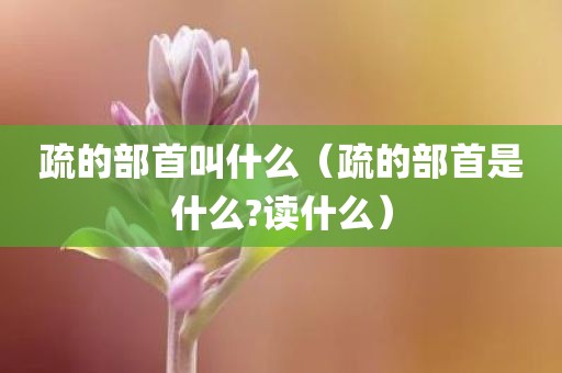疏的部首叫什么(疏的部首是什么?读什么)