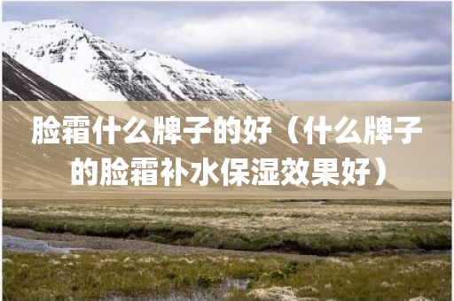 脸霜什么牌子的好（什么牌子的脸霜补水保湿效果好）