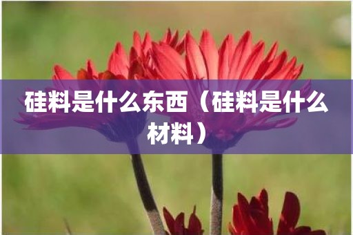 硅料是什么东西（硅料是什么材料）