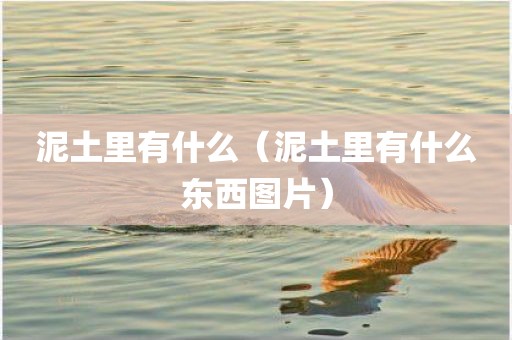 泥土里有什么（泥土里有什么东西图片）