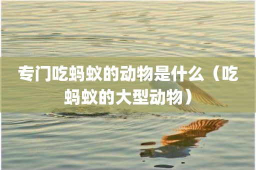 专门吃蚂蚁的动物是什么（吃蚂蚁的大型动物）