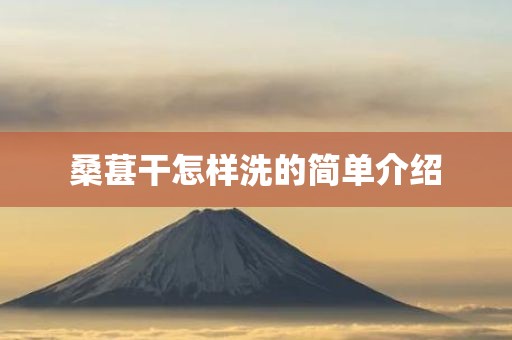 桑葚干怎样洗的简单介绍