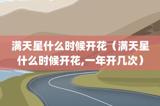 满天星什么时候开花（满天星什么时候开花,一年开几次）