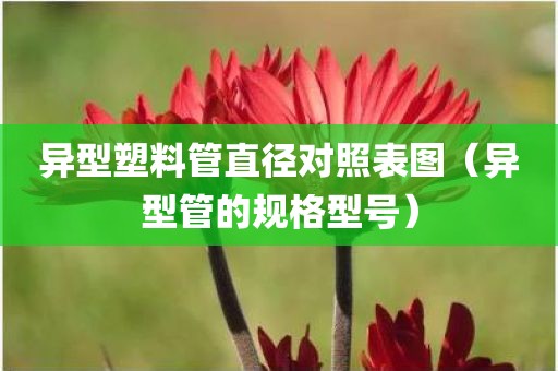异型塑料管直径对照表图（异型管的规格型号）