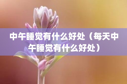 中午睡觉有什么好处(每天中午睡觉有什么好处)