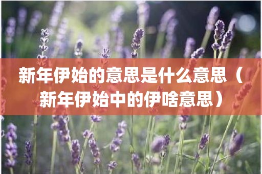 新年伊始的意思是什么意思（新年伊始中的伊啥意思）