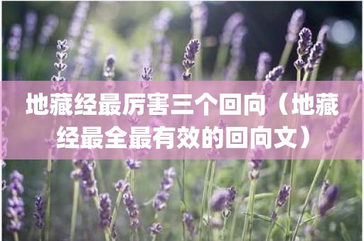 地藏经最厉害三个回向(地藏经最全最有效的回向文)