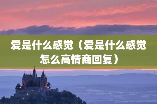 爱是什么感觉（爱是什么感觉怎么高情商回复）