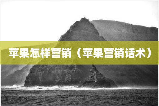 苹果怎样营销（苹果营销话术）