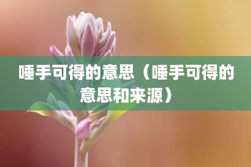 唾手可得的意思（唾手可得的意思和来源）