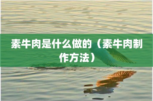 素牛肉是什么做的（素牛肉制作方法）