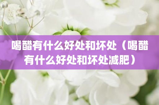 喝醋有什么好处和坏处（喝醋有什么好处和坏处减肥）