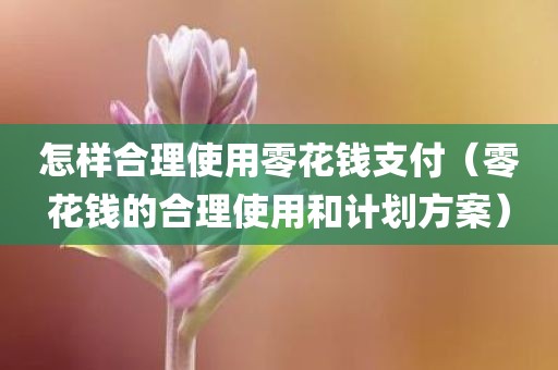 怎样合理使用零花钱支付（零花钱的合理使用和计划方案）