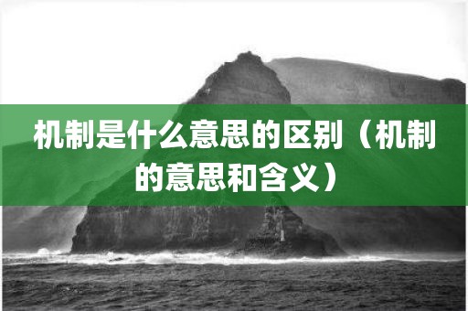 机制是什么意思的区别（机制的意思和含义）
