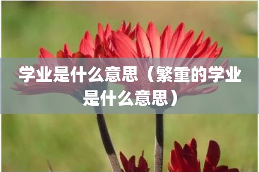 学业是什么意思（繁重的学业是什么意思）