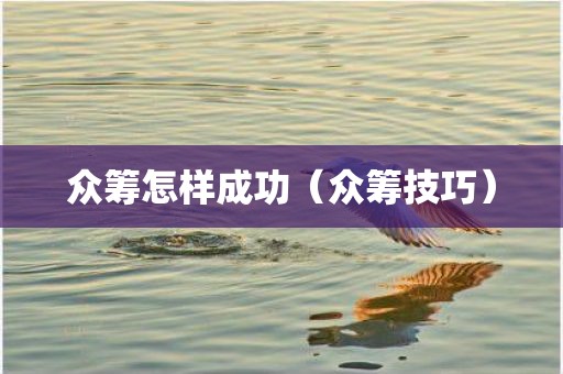 众筹怎样成功（众筹技巧）