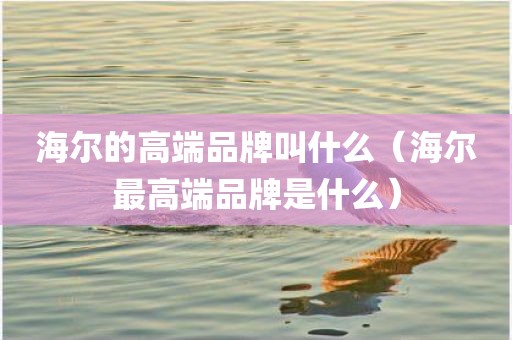 海尔的高端品牌叫什么（海尔最高端品牌是什么）