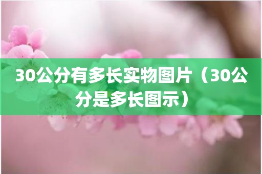 30公分有多长实物图片（30公分是多长图示）