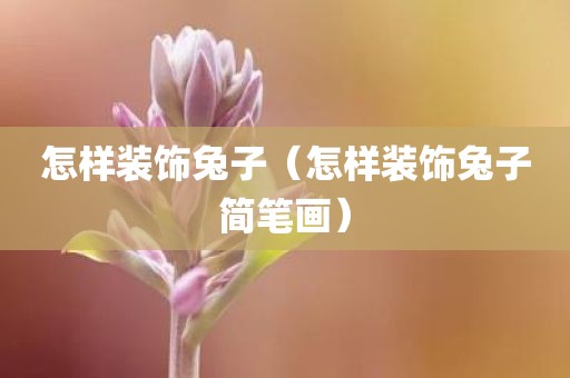 怎样装饰兔子（怎样装饰兔子简笔画）