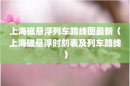 上海磁悬浮列车路线图最新（上海磁悬浮时刻表及列车路线）