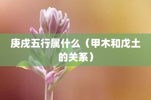 庚戌五行属什么（甲木和戊土的关系）