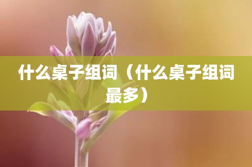什么桌子组词（什么桌子组词最多）