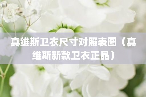 真维斯卫衣尺寸对照表图(真维斯新款卫衣正品)