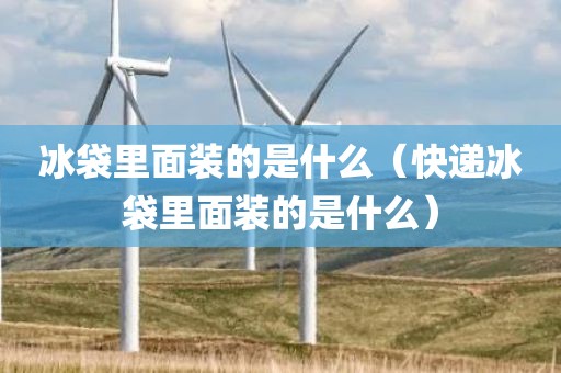 冰袋里面装的是什么(快递冰袋里面装的是什么)