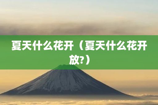 夏天什么花开（夏天什么花开放?）