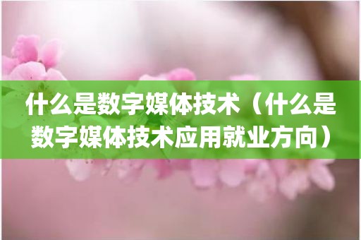 什么是数字媒体技术（什么是数字媒体技术应用就业方向）