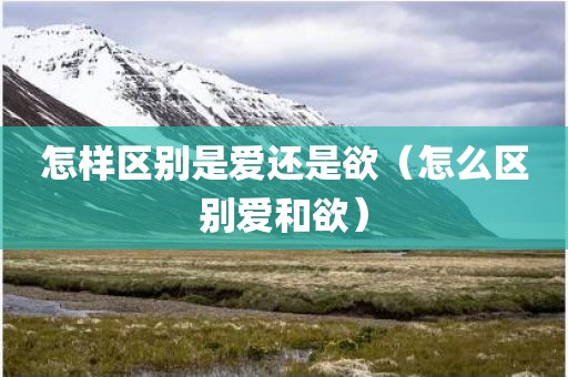 怎样区别是爱还是欲（怎么区别爱和欲）