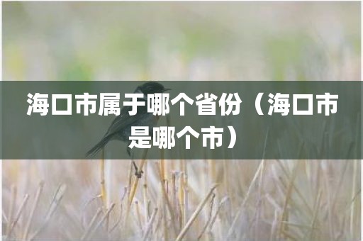 海口市属于哪个省份（海口市是哪个市）