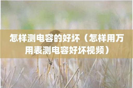 怎样测电容的好坏（怎样用万用表测电容好坏视频）