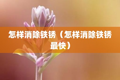 怎样消除铁锈（怎样消除铁锈最快）