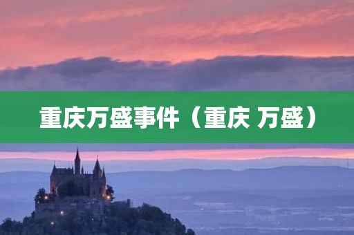 重庆万盛事件（重庆 万盛）