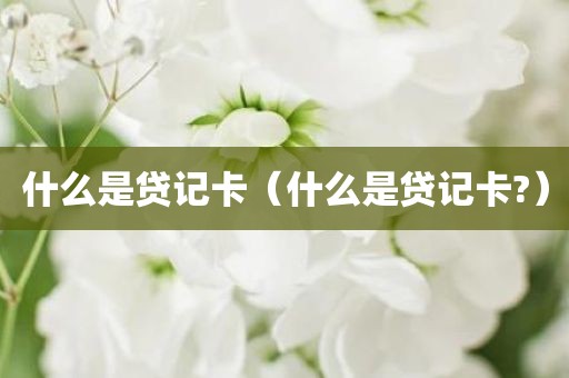 什么是贷记卡（什么是贷记卡?）