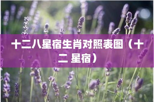 十二八星宿生肖对照表图（十二 星宿）