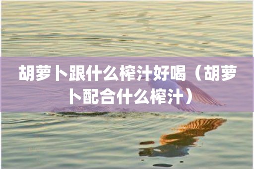 胡萝卜跟什么榨汁好喝（胡萝卜配合什么榨汁）