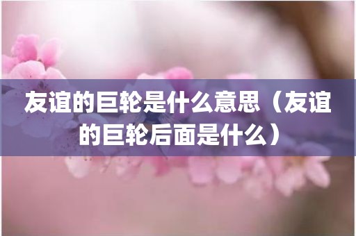 友谊的巨轮是什么意思（友谊的巨轮后面是什么）